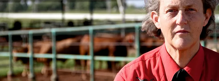 Temple Grandin on her ranch with a chute ram in the background